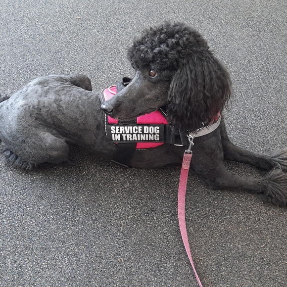 Meet your Posher, Rhonda - Picture 2 of 4